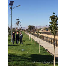 Garantía de venta superior de 5 años Luz de calle solar ajustable